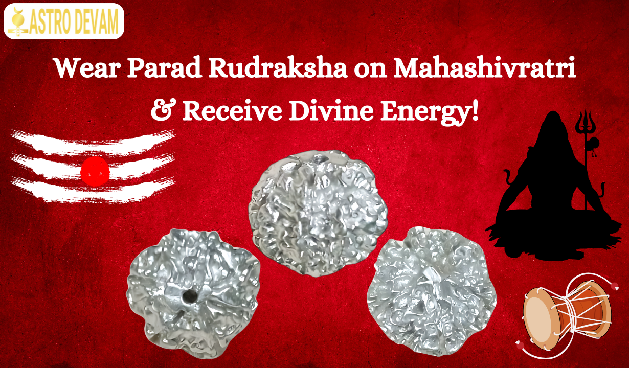 Original Parad Rudraksha Uses & Benefits